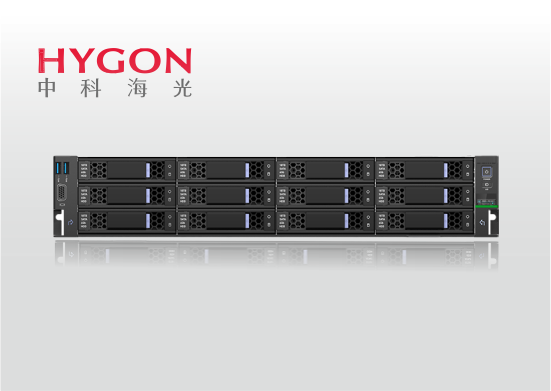 金品 KG 2208-H73 海光双路服务器