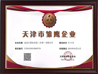 天津市雏鹰企业